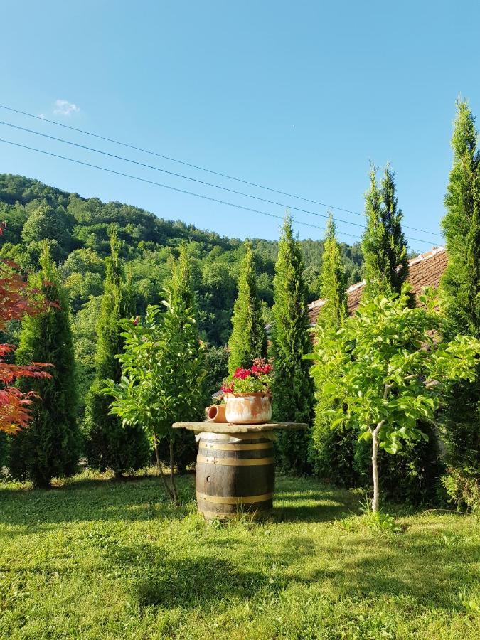Family Hotel Chiflik Hills Εξωτερικό φωτογραφία